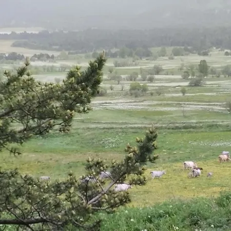 Entre Faune, Et Montagne Les Angles (Pyrenees-Orientales)