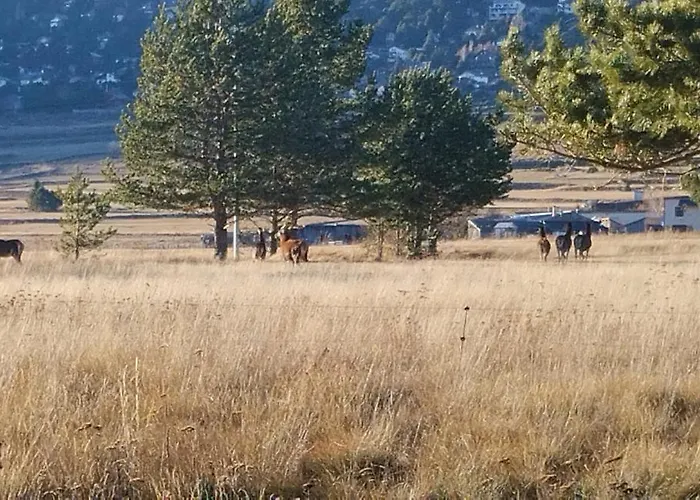 Entre Faune, Et Montagne Διαμέρισμα Les Angles (Pyrenees-Orientales)